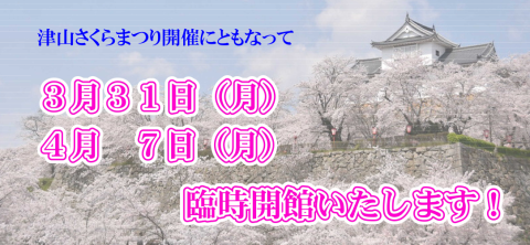 aizuno_a61134